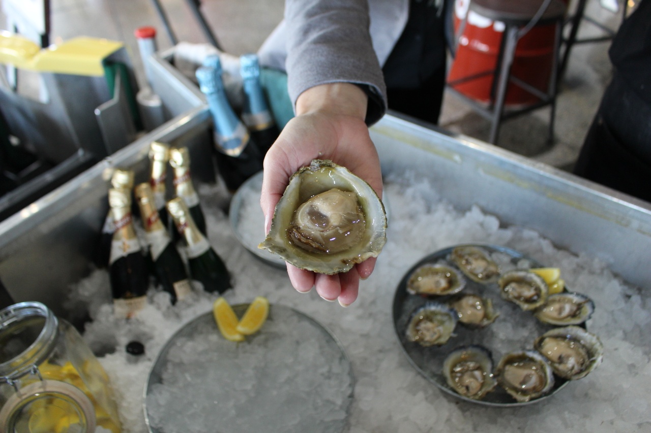 The Bluff Oyster and Food Festival Bluff