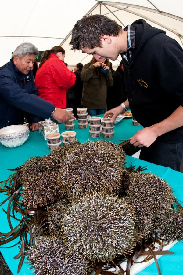 The Bluff Oyster and Food Festival Bluff